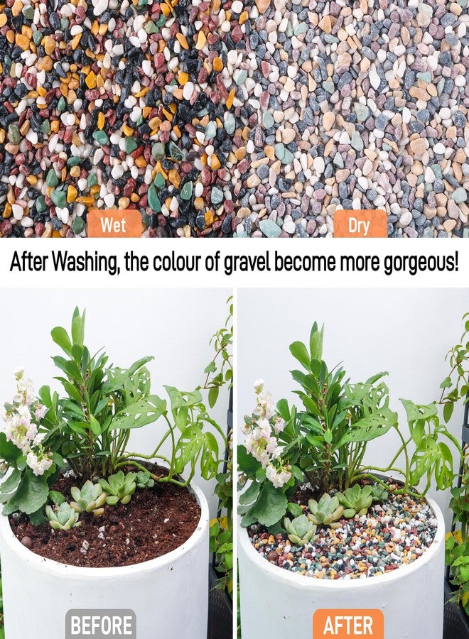 CJGQ 2.4lb Aquarium Gravel for Plants, 1/4Inch Fish Tank Gravel for Succulent Cactus and Bonsai, Decorative River Rocks Pebbles for Gardening, Flower Pots, Landscaping,Terrarium - Image 4